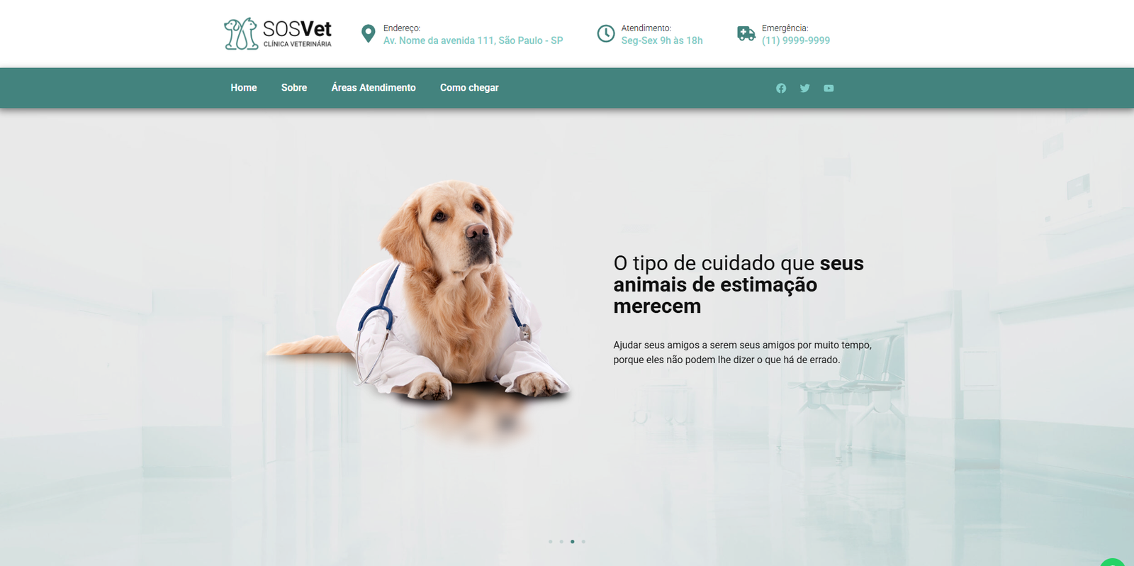 Portfólio marketing digital - Imagem do site veterinário